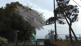 学校,見学,高校