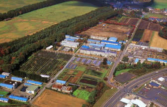 学校,見学,高校