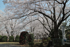 学校,見学,高校