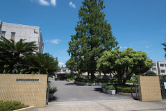 学校,見学,高校