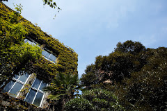 学校,見学,高校