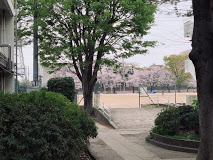 学校,見学,高校