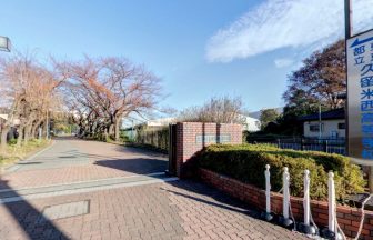 学校,見学,高校