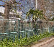 学校,見学,高校