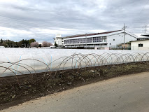 学校,見学,高校