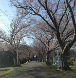 学校,見学,高校