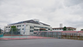 学校,見学,高校