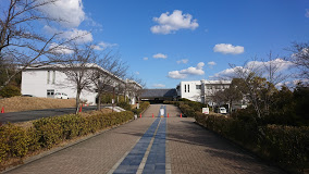 学校,見学,高校