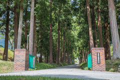 学校,見学,高校,高校見学会