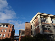 学校,見学,高校