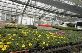 学校,見学,高校,高校見学会