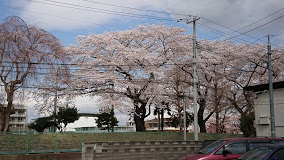学校,見学,高校