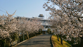 学校,見学,高校