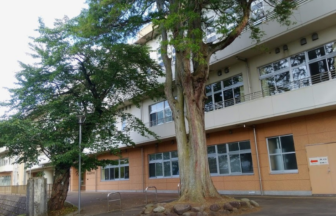 学校,見学,高校