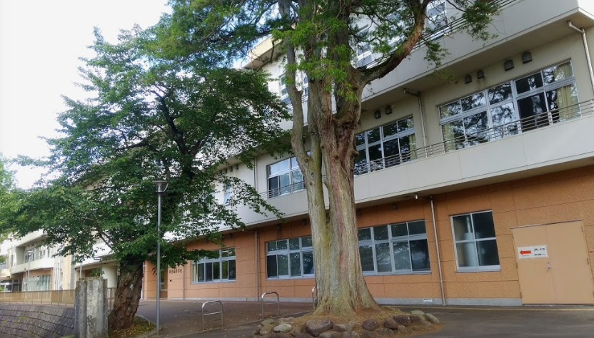 学校,見学,高校