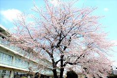 学校,見学,高校