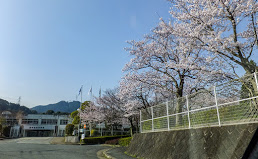 学校,見学,高校,高校見学会