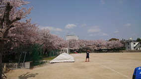 学校,見学,高校,高校見学会