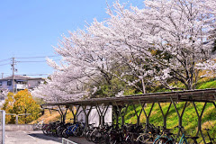 学校,見学,高校,高校見学会