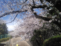 学校,見学,高校,高校見学会